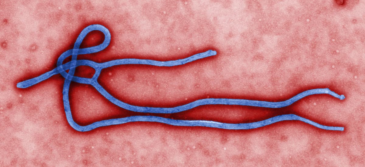 Ebola Crisis Deepens As UN And WHO Seek Access To Conflict Zones